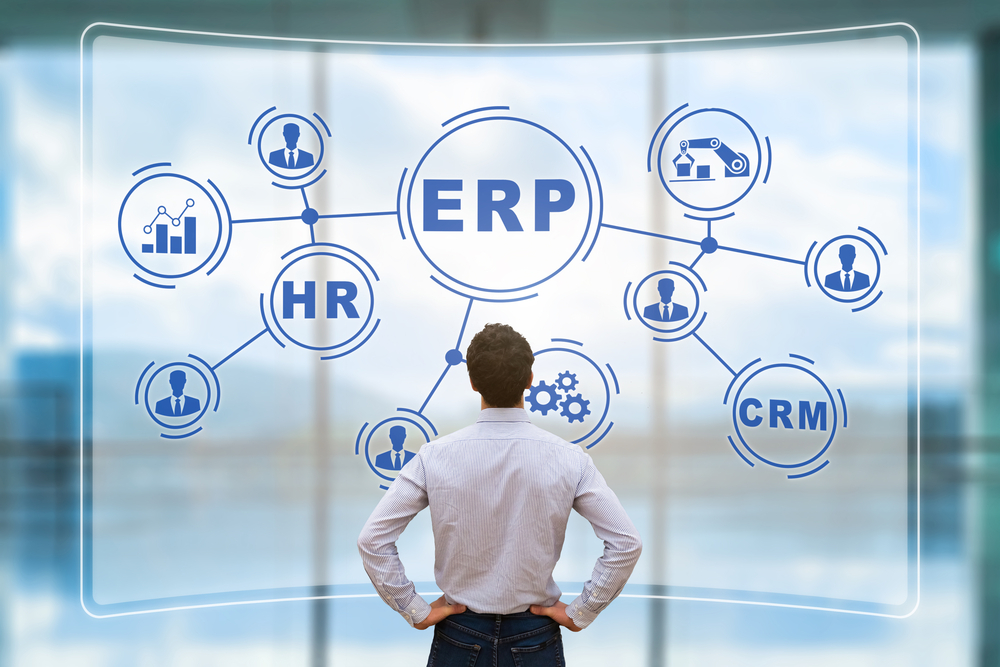 Purpose Implementing ERP Software System